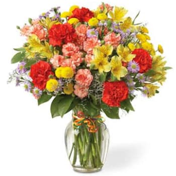 Merry Morning with Alstromeria and Carnations – view 2